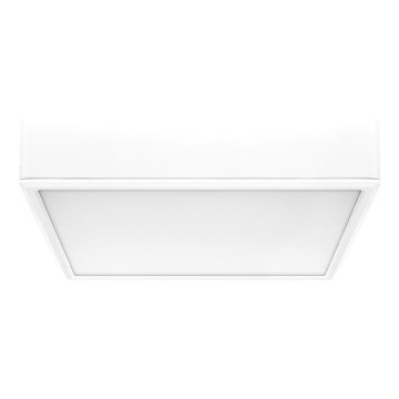 Rabalux - LED Mennyezeti lámpa LED/22W/230V 3000/4000/6000K 21x21 cm fehér