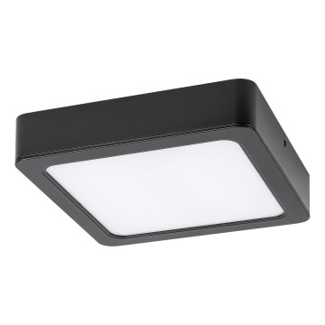 Rabalux - LED Mennyezeti lámpa LED/24W/230V 4000K 22x22 cm fekete