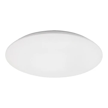 Rabalux - LED Mennyezeti lámpa LED/45W/230V 4000K 48 cm