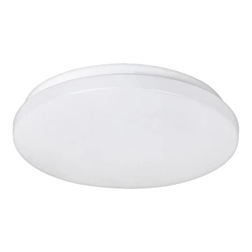 Rabalux - LED Menyezeti lámpa 1xLED/20W/230V