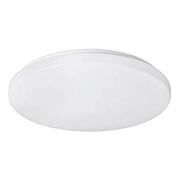 Rabalux - LED Menyezeti lámpa 1xLED/32W/230V