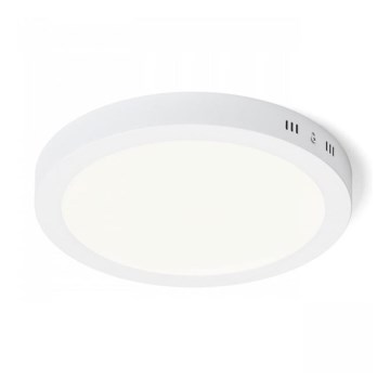 RED - Design Rendl - R12973 - LED Mennyezeti lámpa SOCORRO LED/24W/230V