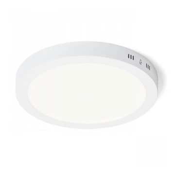 RED - Design Rendl - R12973 - LED Mennyezeti lámpa SOCORRO LED/24W/230V