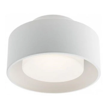 Redo 01-3096 - LED Mennyezeti lámpa PUNKT LED/6W/230V fehér