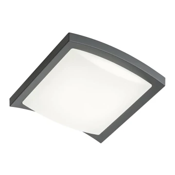 Redo 90007 - LED Kültéri mennyezeti lámpa TALLIN LED/21W/230V IP54 szürke