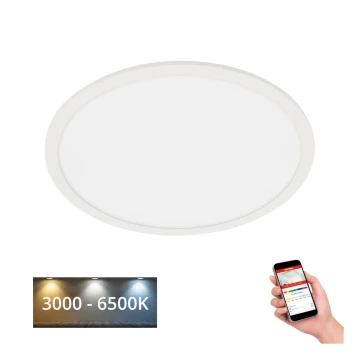 Telefunken 310706TF - LED RGB Dimmelhető mennyezeti lámpa LED/24W/230V 3000-6500K Wi-Fi Tuya