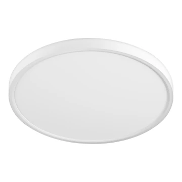 Top Light - LED Mennyezeti lámpa REVIT LED/24W/230V 3000/4000/6500K átm. 30 cm fehér