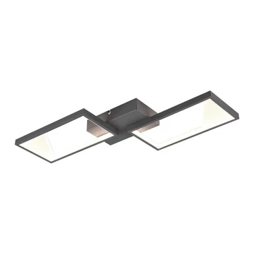 Trio - LED Dimmelhető felületre szerelhető csillár CAFU 2xLED/7W/230V