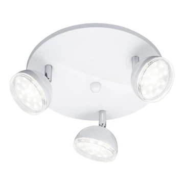 Trio - LED Spotlámpa BOLOU 3xLED/3,8W/230V