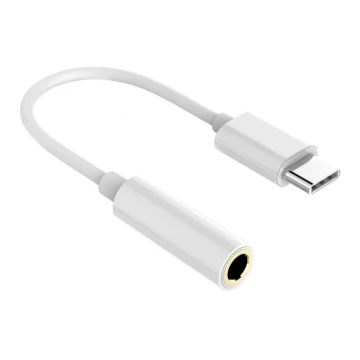 USB-C AUX adapter