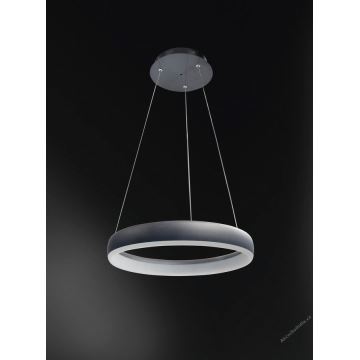 Wofi 6481.01.10.8401 - LED Dimmelhető csillár zsinóron CLINT LED/24W/230V 2800-6500K Wi-Fi + távirányítás