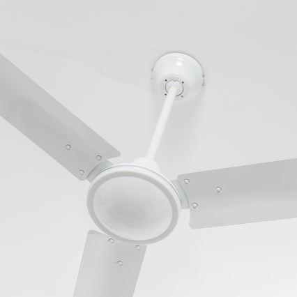 ZEVENTI - Mennyezeti ventilátor TOFINO fehér